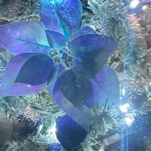 Meet your Posher, Rocio